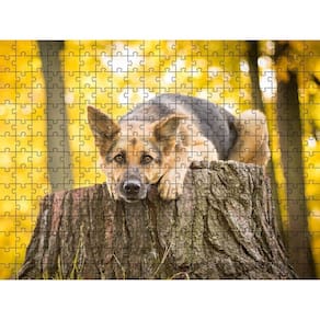 Quebra-Cabeça Inclusivo 300 Peças Cachorros Que Encantam E