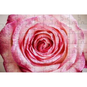 4 Quebra-Cabeças De Flores Diversão Inclusiva 60 Peças