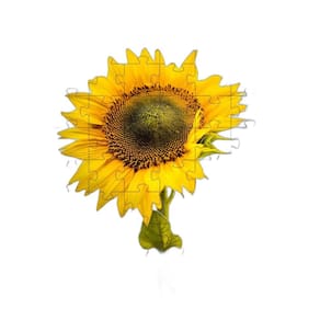 4 Quebra-Cabeças De Flores Coloridas Do Mundo De 40 Peças