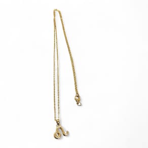 Colar Leão Signo do Zodíaco Pingente Dourado 30 cm