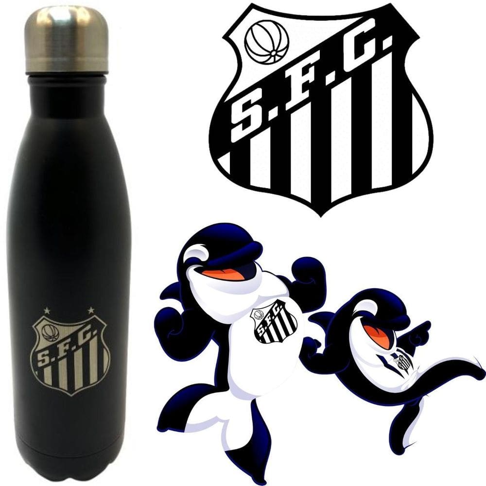 Recipiente Esportivo Aço Inoxidável 750Ml Santos Ideal