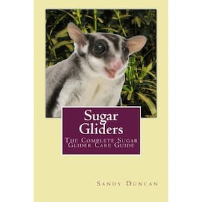 Livro Sugar Gliders: o guia completo de cuidados com o Sugar Glider