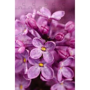 3 Quebra-Cabeças Flores Do Mundo Inclusivo E Inteligente 60