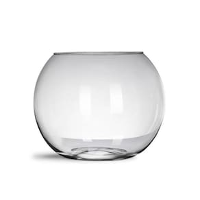Aquário Vaso De Vidro Redondo 6 Litros Decoração Peixes