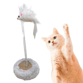 Brinquedo Gato Mola Maluca Chocalho Brinquedo Gatos