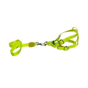Coleira Peitoral Pra Cães Americano 15Mm - Amarelo Neon Nº 2