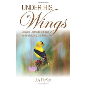 Livro Under His Wings: Lições aprendidas ao observar pássaros