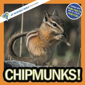 Livro ilustrado infantil My Incredible World: Chipmunks!