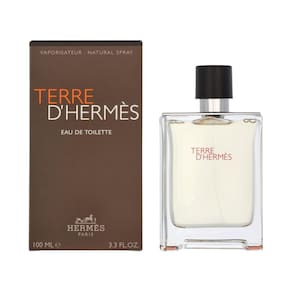 Perfume Hermes Terre D Eau De Toilette 100ml para homens