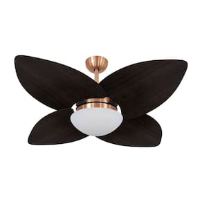 Ventilador De Teto Dormamu Cobre 4 Pás 220v