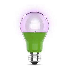 Lâmpada Hydro Grow Feit Electric A19/GROW/LEDG2/BX 9W