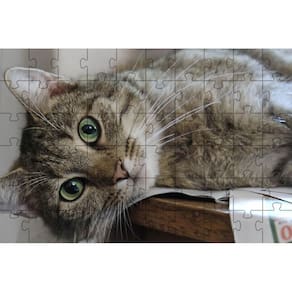 Kit 2 Quebra-Cabeça Inclusivos Gatos Espertos Em 60 Peças