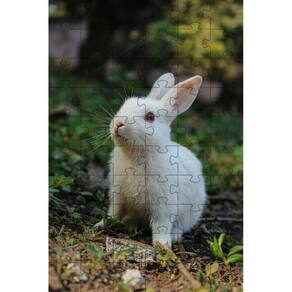 4 Quebra-Cabeças Coelhos Diversão Inclusiva E Inteligente 60