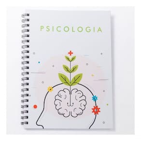 Caderno Universitário 100fls Psicologia Profissões