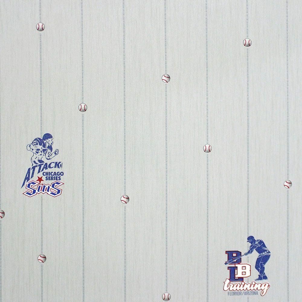 Papel De Parede All Kids Linha Esportiva H2910405 Rolo 10m X 0,53m