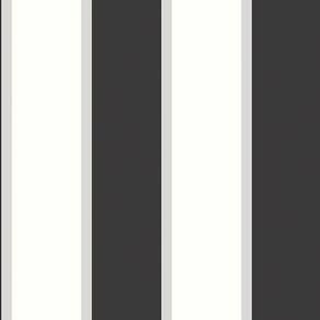 Papel De Parede Smart Stripes 2 Listras Largas G67543 - Rolo 10m X 0,53m