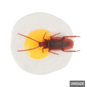 Barata de Plástico com OVO Sunny Eggs - Tudo em Caixa