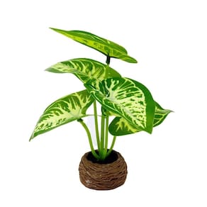 Vaso Decorativo de Cimento 14cm com Planta - Tudo em Caixa