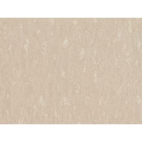 Papel De Parede Regent 3 Cimentado M5220 Rolo 10m X 0,53m