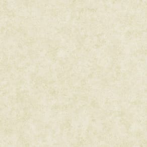 Papel De Parede The Young Ones Ym2383 Belga Rolo 10m X 0,53m
