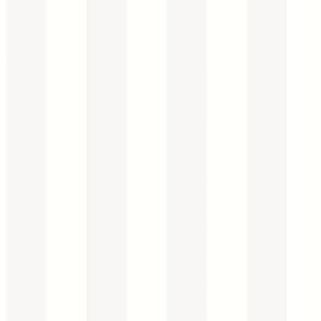 Papel De Parede Smart Stripes 2 Listras Cintilantes G67558 - Rolo 10m X 0,53m