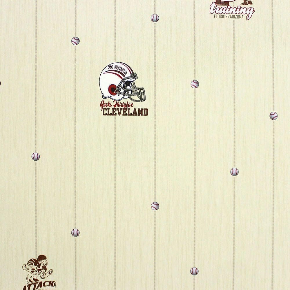 Papel De Parede All Kids Linha Esportiva H2910401 Rolo 10m X 0,53m