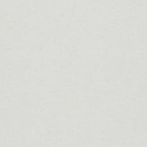 Papel De Parede Ivy Textura Off White 6805-20