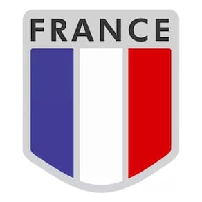 Emblema Resinado Citroen Escudo França Res6