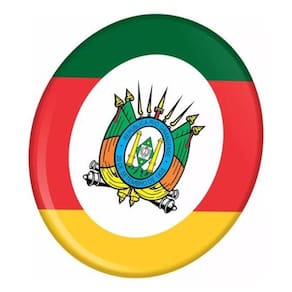 Adesivo Brasão Rio Grande Do Sul Carro Moto Resinado Bd10