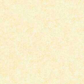 Papel De Parede The Young Ones Ym2382 Belga Rolo 10m X 0,53m
