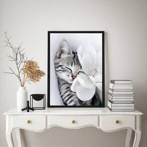 Quadro Decorativo Gatinho Com Flor Branca 45X34Cm - Vidro