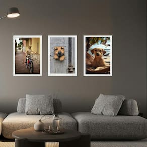 Kit 3 Quadros Decorativos Cachorro Caramelo 33X24Cm
