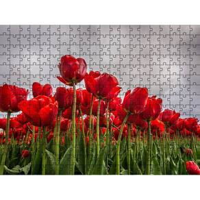 Quebra-Cabeça Jardim Flores Vermelhas 300 Peças Que Encantam