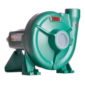 Bomba Monoestágio Mancalizada Ths-18 5,0 Cv Thebe Rotor 147cm Selo / Anel Viton
