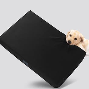 Cama para cães Veehoo indestrutível à prova de mastigação impermeável XL