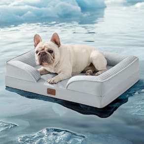 Sofá ortopédico Dog Bed Bedsure Cooling para cães médios, cinza