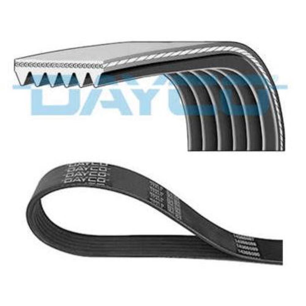 Correia De Acessórios Polyv 800mm Dayco - / Expert - 6PK800
