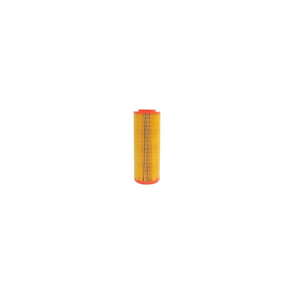 Filtro De Ar Mannfilter - / Ecosport - C11102