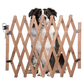 Portao de Bambu Pet Cao Cachorro Criança Bebe Grade Sanfonada Retratil Cercado