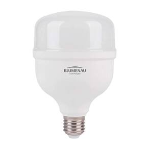 Lâmpada Globo Led T80 E27 - 30w 6.500k - Blumenau