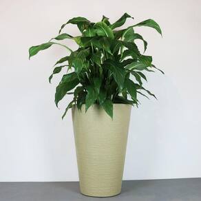 Vaso Terra Cone 38 X 55 Cm Cor 11 - Granito Areia