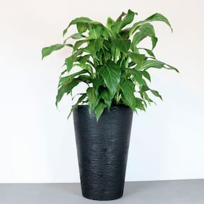 Vaso Terra Cone 38 X 55 Cm Cor 07 - Preto Sólido