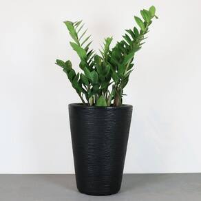 Vaso Terra Cone 30 X 40 Cm Cor 07 - Preto Sólido