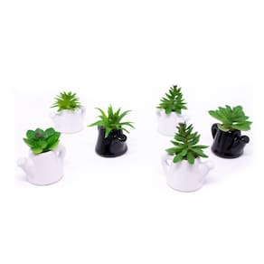 Kit 06 Suculentas Artificiais Com Vaso De Cerâmica 9,5x8x6 Cm - D`rossi