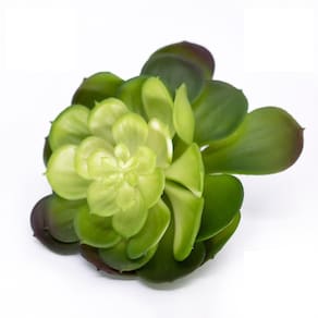 Suculenta Planta Artificial Verde 14x16 Cm - D`rossi