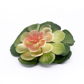 Suculenta Planta Artificial Verde E Vermelho 14x16 - D`rossi