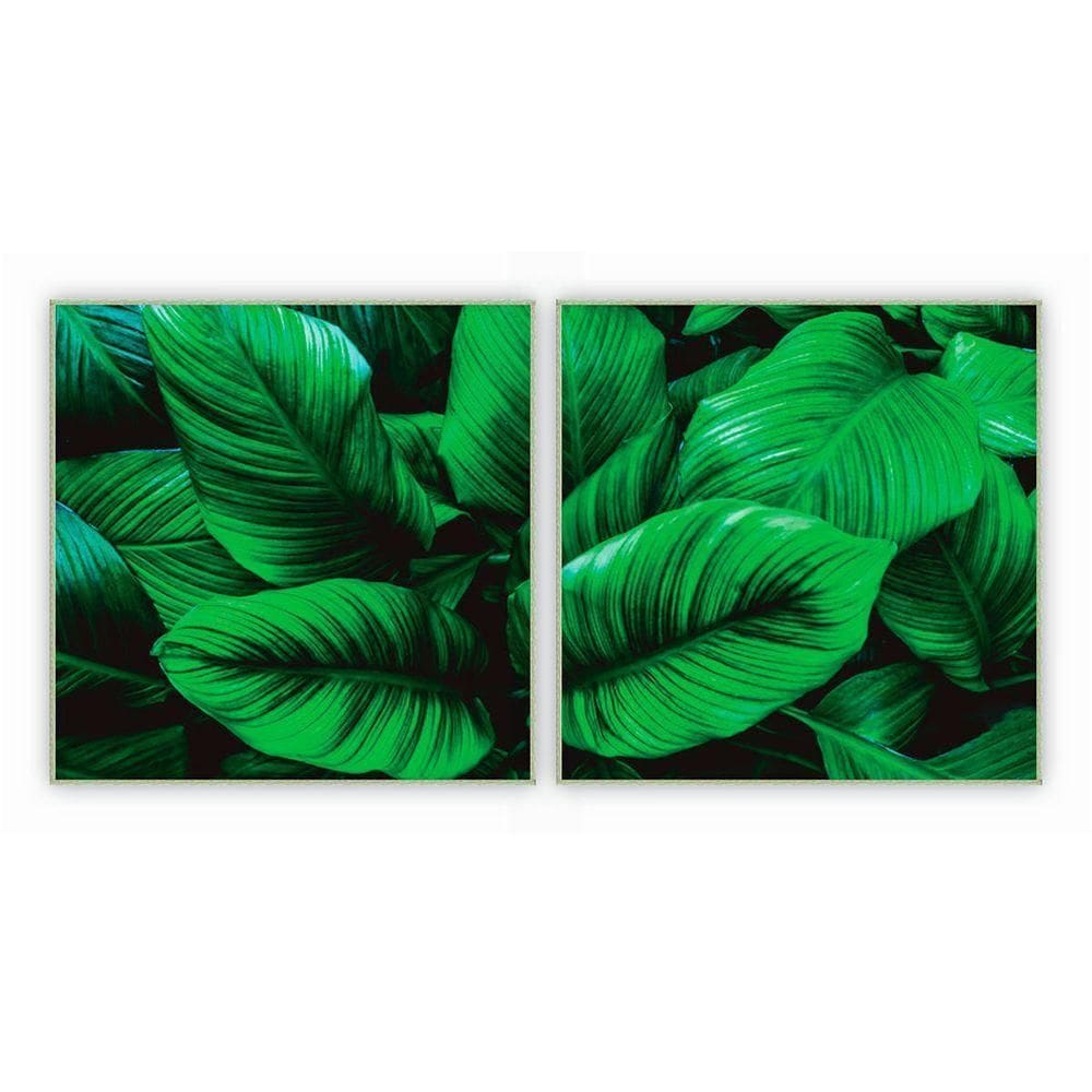 Kit Com 2 Quadros Decorativos Florais Com Moldura Para Sala Quarto Escritório 62x62 Floral 015