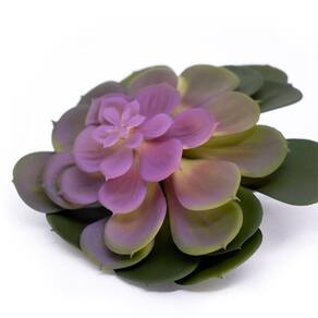 Suculenta Planta Artificial Verde E Rosa 14x16 Cm - D`rossi