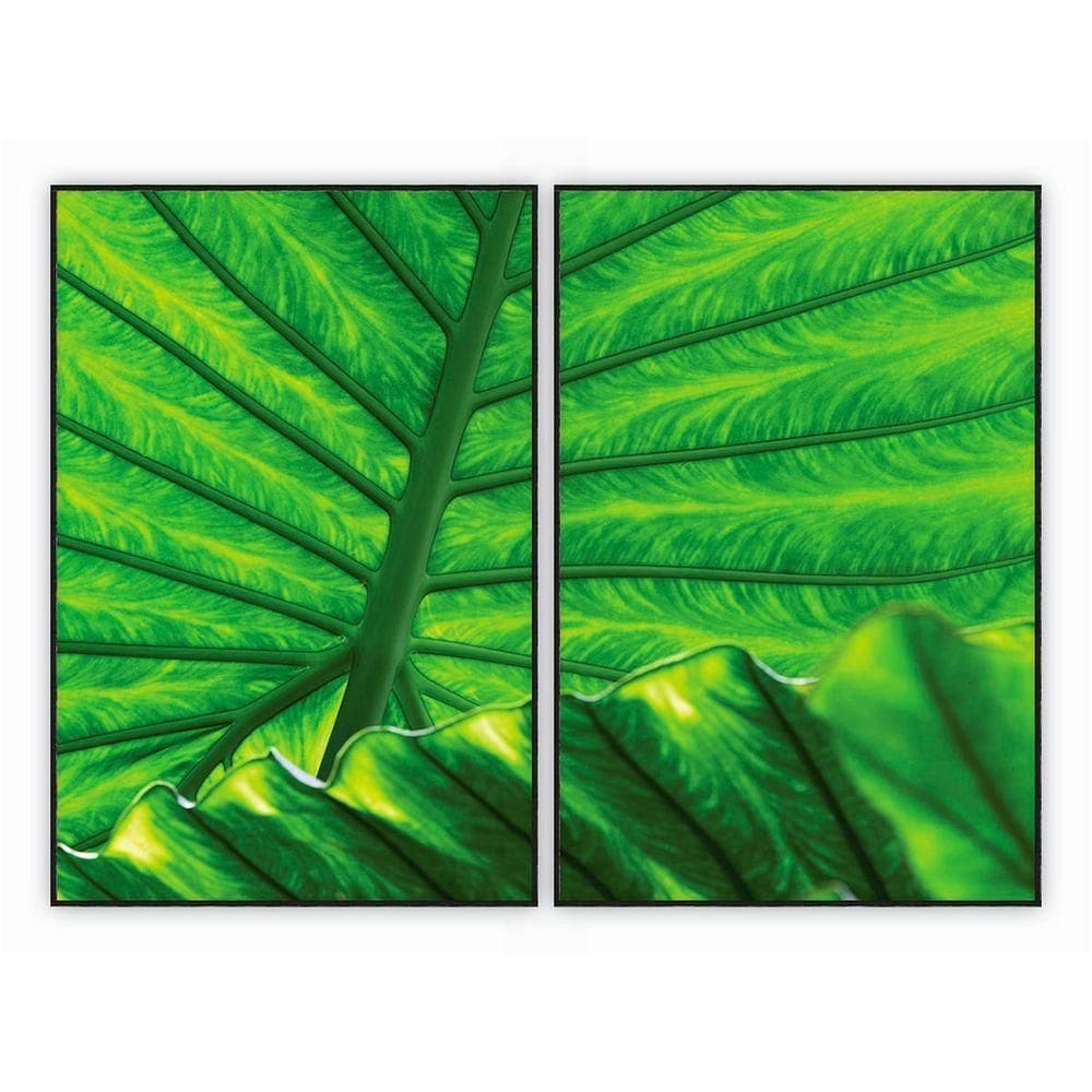 Kit Com 2 Quadros Decorativos Florais Com Moldura Para Sala Quarto Escritório 82x1222 Floral 016