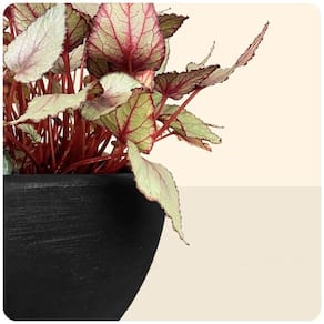 Floreira Malta 80 X 25 Cm Cor 07 - Preto Sólido